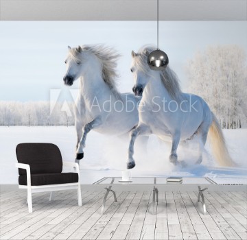 Afbeeldingen van Two white horses gallop on snow field